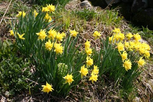 ゴールデンウイーク！ゆったり世界遺産 6