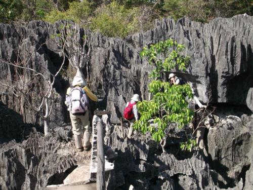 ツィンギー(マダガスカル)