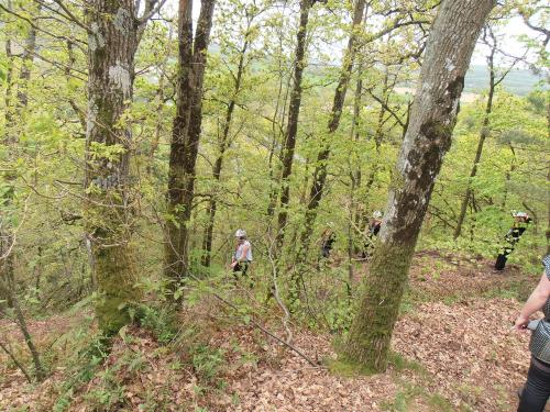 アドベンチャー