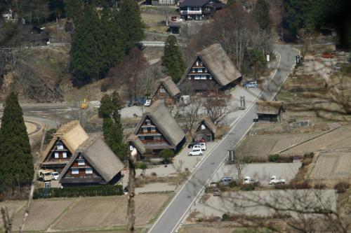 白川郷いよいよ桜の季節が到来!1