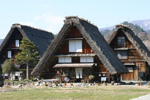 白川郷いよいよ桜の季節が到来!6