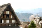 世界遺産 白川郷　〜とれたて桜  5