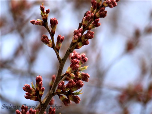 ゴールデンウィーク ドライブ 2