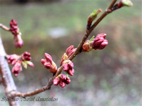 ゴールデンウィーク ドライブ 3