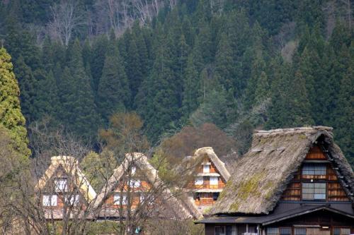 世界遺産 白川郷合掌集落は春爛漫〜1