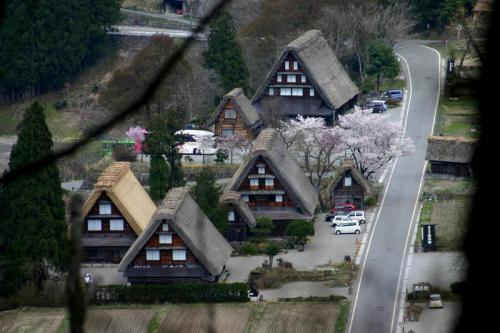世界遺産 白川郷合掌集落は春爛漫〜2