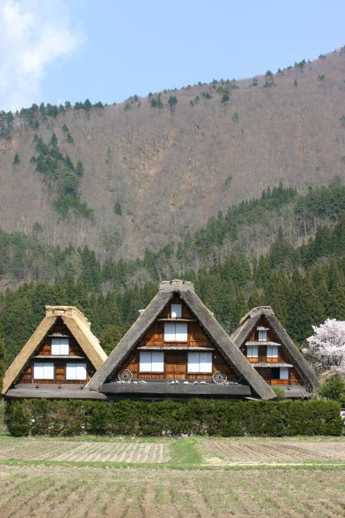 世界遺産 白川郷合掌集落は春爛漫〜4