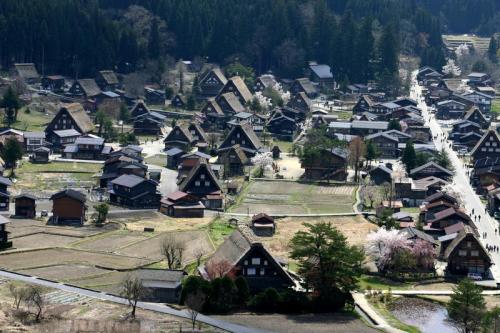 世界遺産 白川郷合掌集落は春爛漫〜7