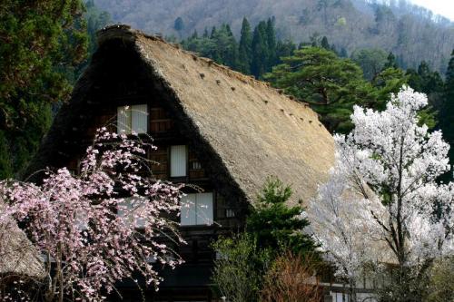 世界遺産 白川郷合掌集落は春爛漫〜10