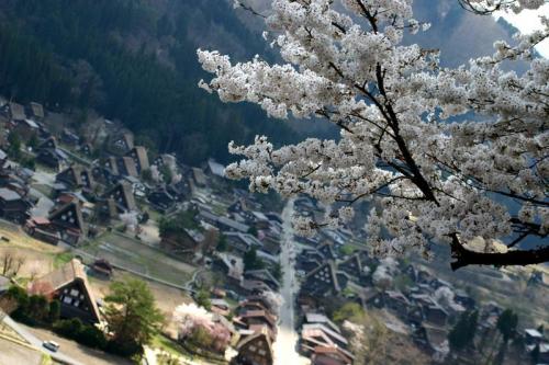 いよいよゴールデンウィーク♪♪♪1