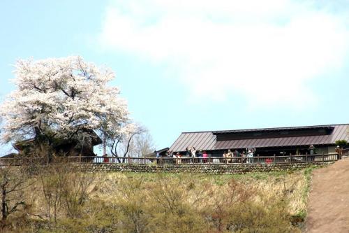 いよいよゴールデンウィーク♪♪♪2