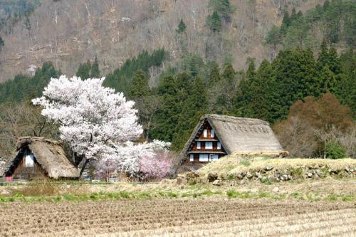 いよいよゴールデンウィーク♪♪♪4