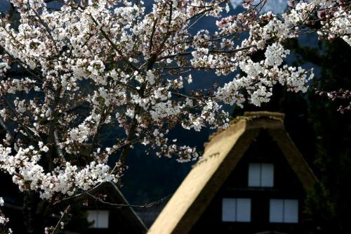 いよいよゴールデンウィーク♪♪♪6