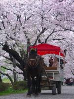 北上展勝地 馬車