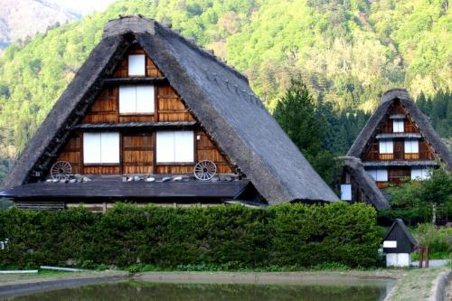 遅れてやってくる春の風物詩 おおた桜 6