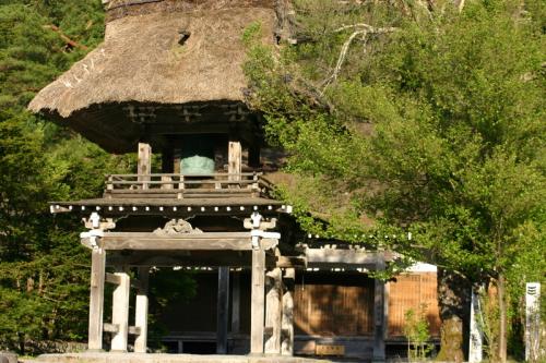 遅れてやってくる春の風物詩 おおた桜 0