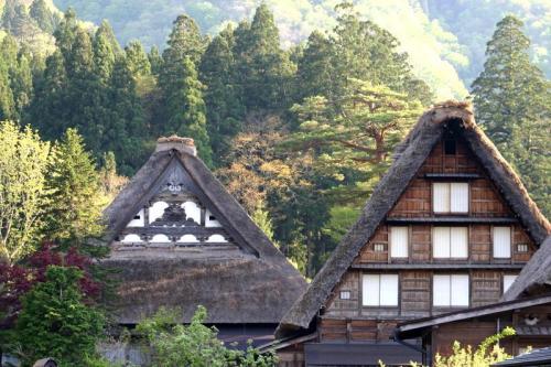 春から初夏の季節替わり〜新緑が眩しい5