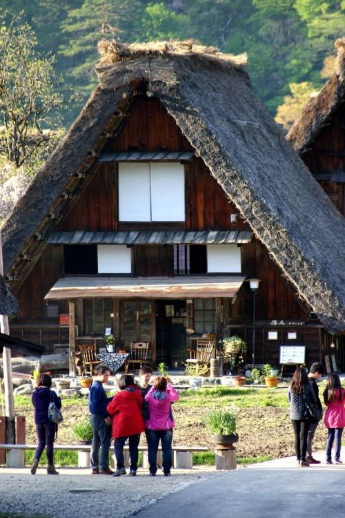 春から初夏の季節替わり〜新緑が眩しい6