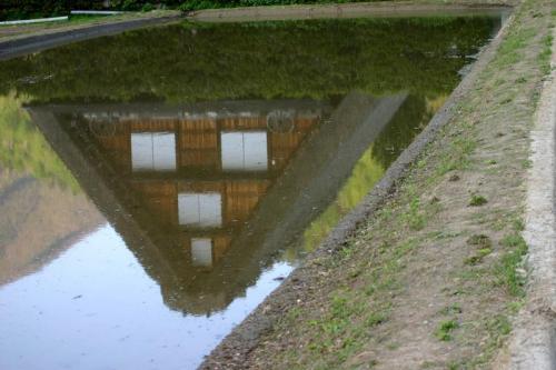 春から初夏の季節替わり〜新緑が眩しい11
