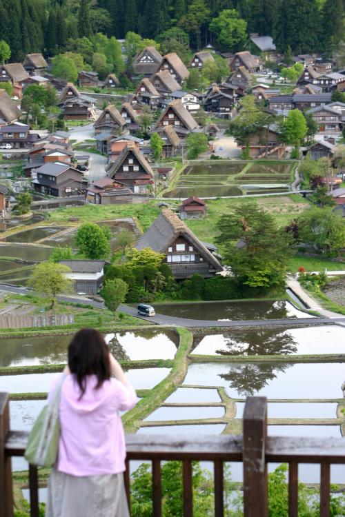 〜新緑の色増す季節〜 心地良い 4