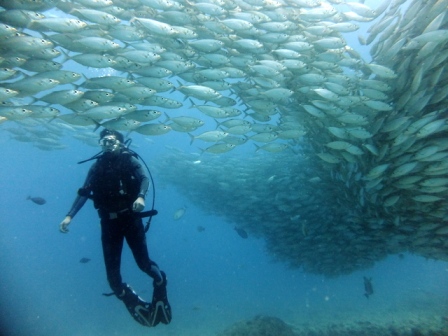 サイパン ダイビング