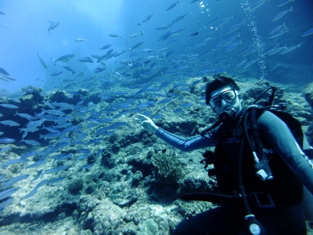 サイパン ダイビング