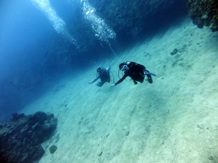 サイパン ダイビング
