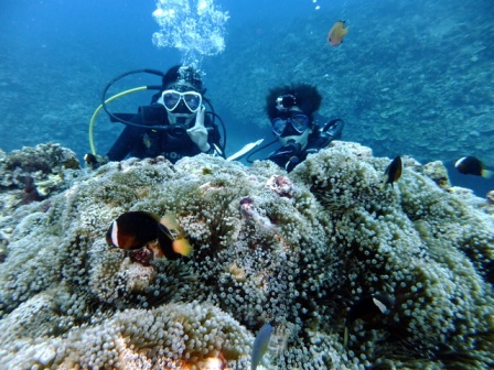 サイパン ダイビング