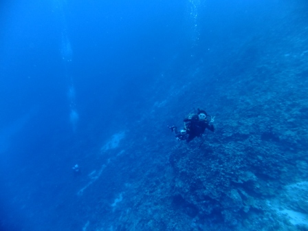 サイパン ダイビング