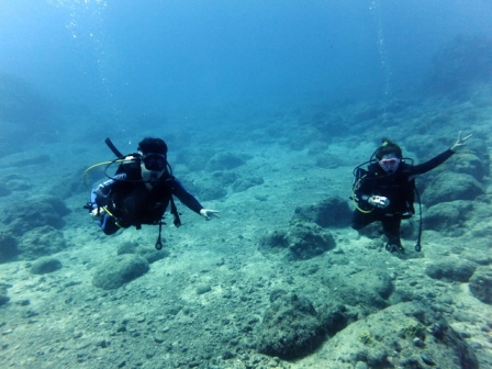 サイパン ダイビング