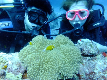 サイパン ダイビング