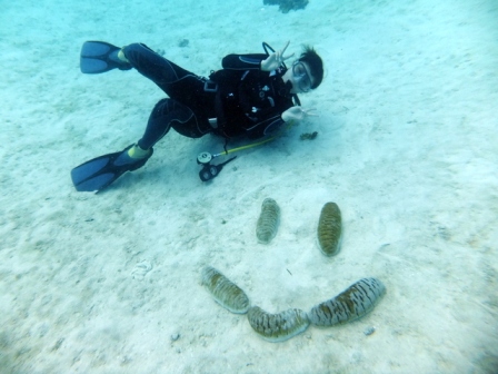 サイパン ダイビング