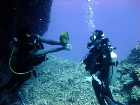 サイパンダイビングショップ