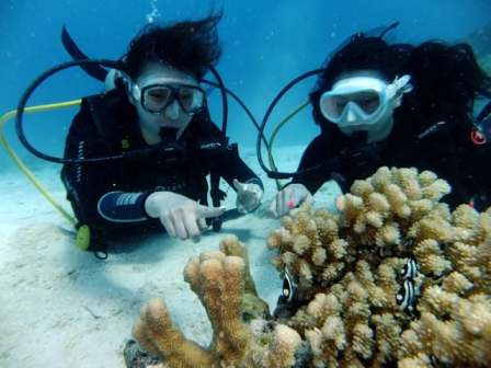 サイパンダイビングショップ