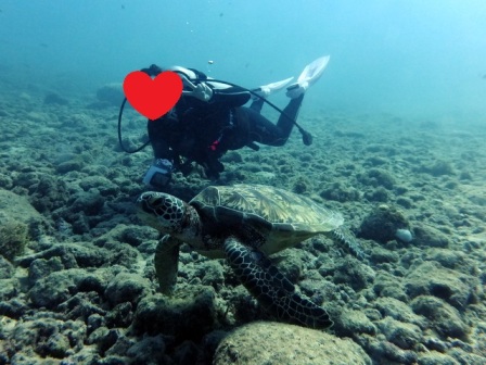 サイパンダイビングショップ