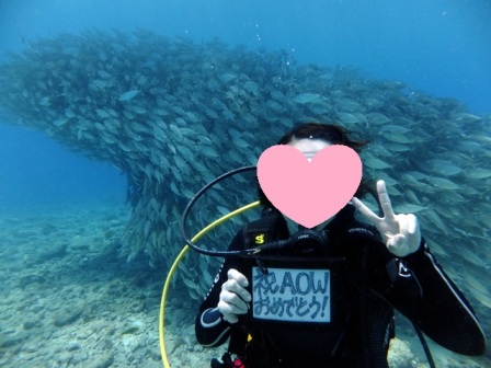 サイパン ダイビング 体験ダイビング