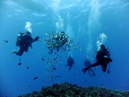 サイパンダイビングショップ