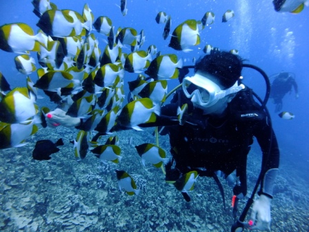 サイパン ダイビング 体験ダイビング