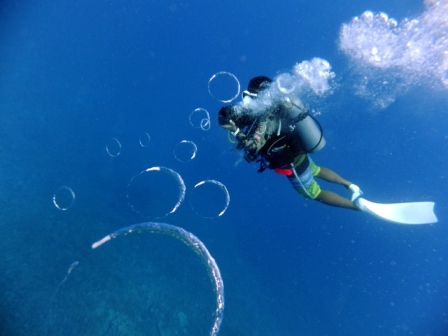 サイパン ダイビングライセンス