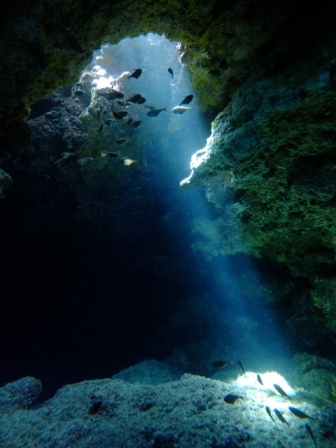 サイパン ダイビング