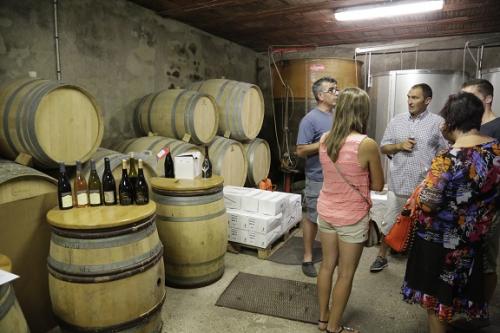 ワイン・ティスティングは地下のカーブで