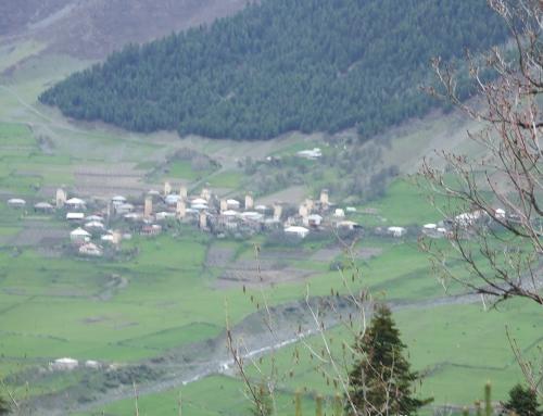 chola village
