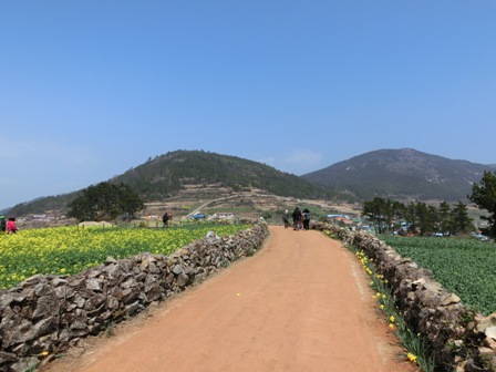 青山島の田舎道を歩くツアーメンバー