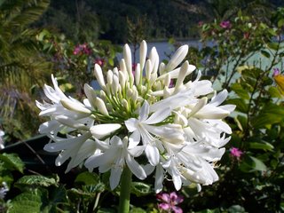 バリン湖の庭からの眺め