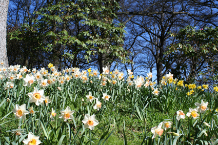 Ｐ７２-０７４Ｆ