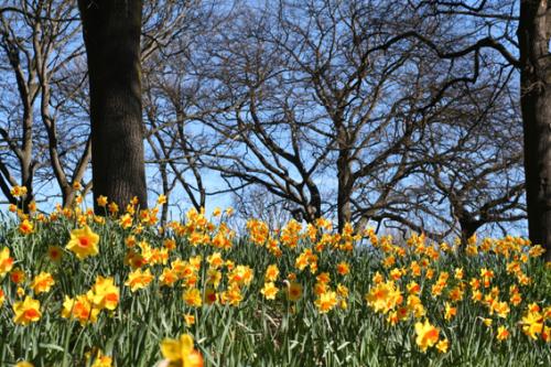 Ｐ７２-０７６Ｆ