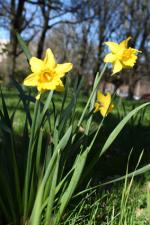 Ｐ７２-０８１Ｆ