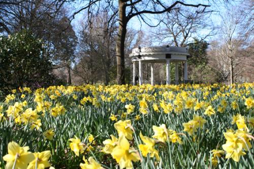 Ｐ７２-０８６Ｆ