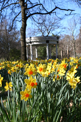 Ｐ７２-０８７Ｆ