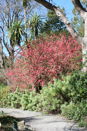 Ｐ７２-０５３Ｆ